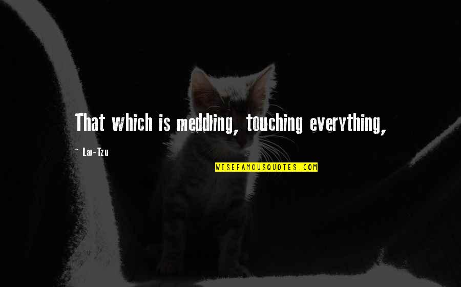 Top Ya Book Quotes By Lao-Tzu: That which is meddling, touching everything,