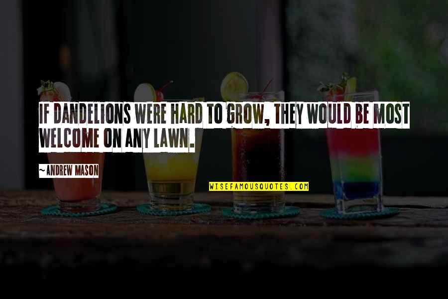 Toparse Quotes By Andrew Mason: If dandelions were hard to grow, they would