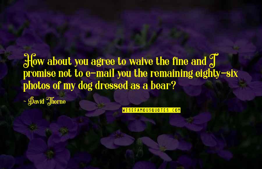 Topas Holice Quotes By David Thorne: How about you agree to waive the fine