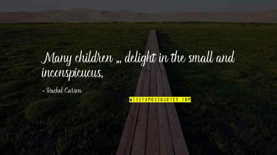 Topeng Bali Quotes By Rachel Carson: Many children ... delight in the small and Topeng Bali Quotes By Rachel Carson: Many children ... delight in the small and