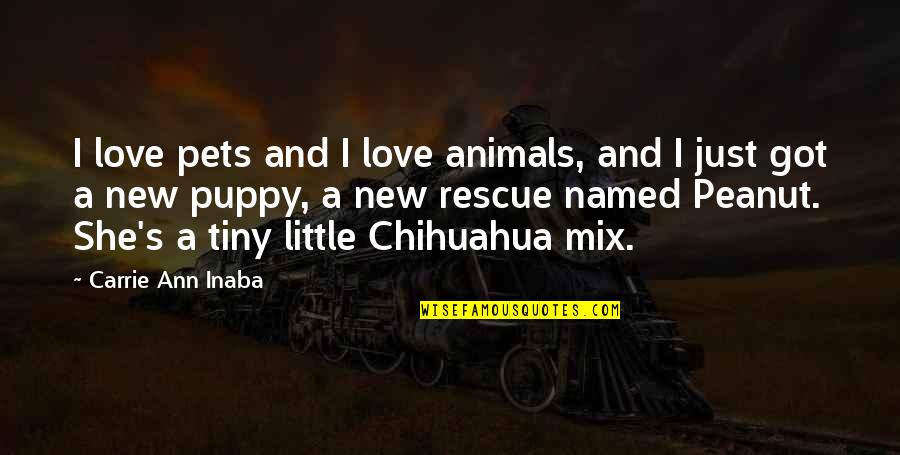 Topickio Quotes By Carrie Ann Inaba: I love pets and I love animals, and Topickio Quotes By Carrie Ann Inaba: I love pets and I love animals, and