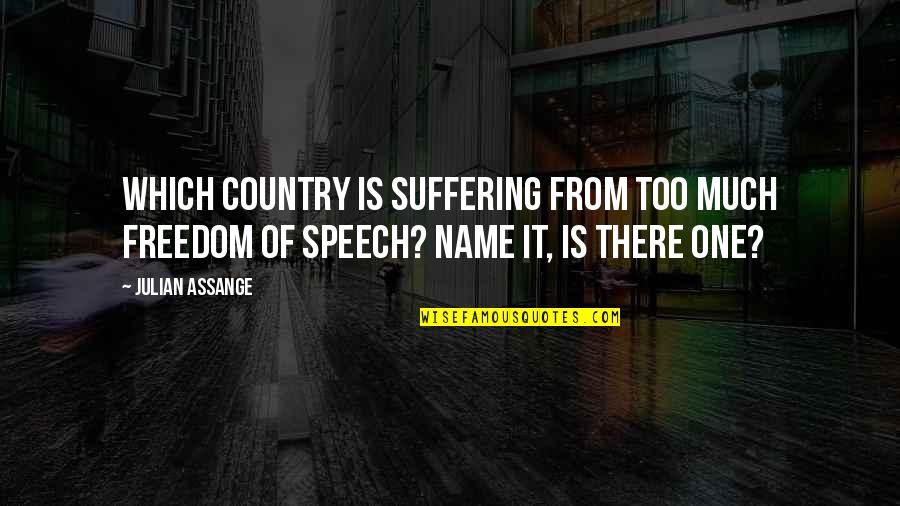 Topland Construction Quotes By Julian Assange: Which country is suffering from too much freedom