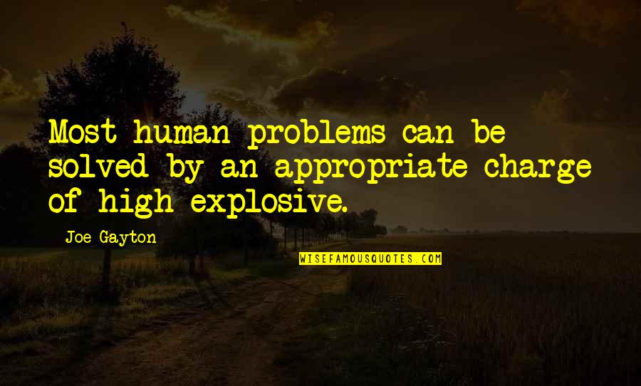 Toppaz Quotes By Joe Gayton: Most human problems can be solved by an