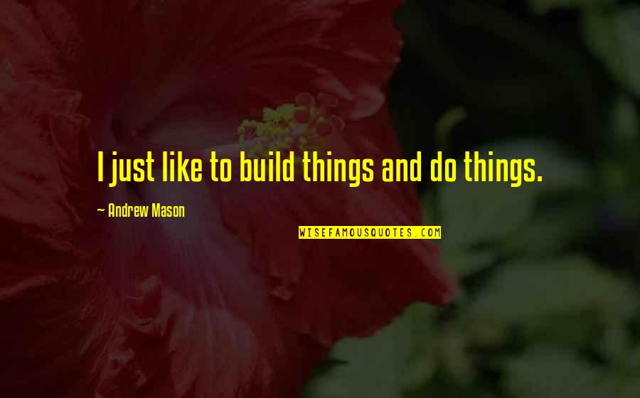 Toppik Quotes By Andrew Mason: I just like to build things and do