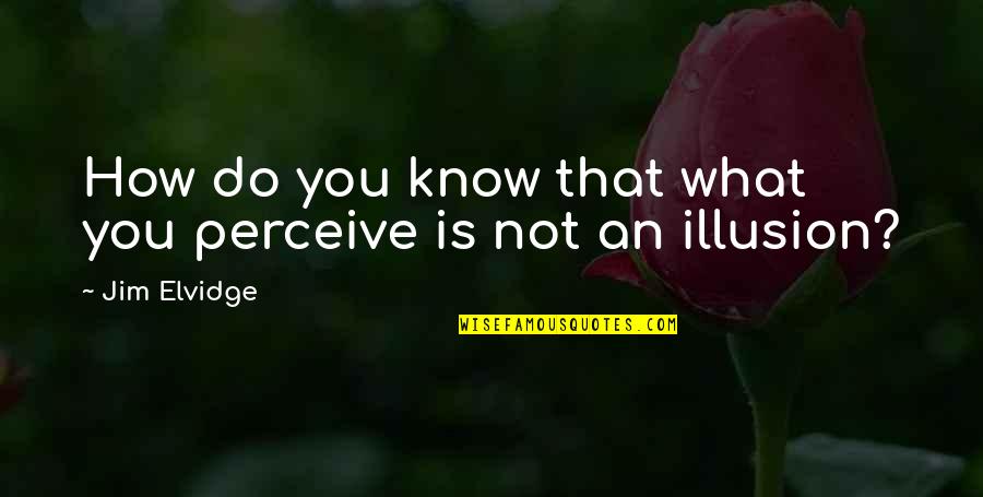 Toppy Worthington Quotes By Jim Elvidge: How do you know that what you perceive