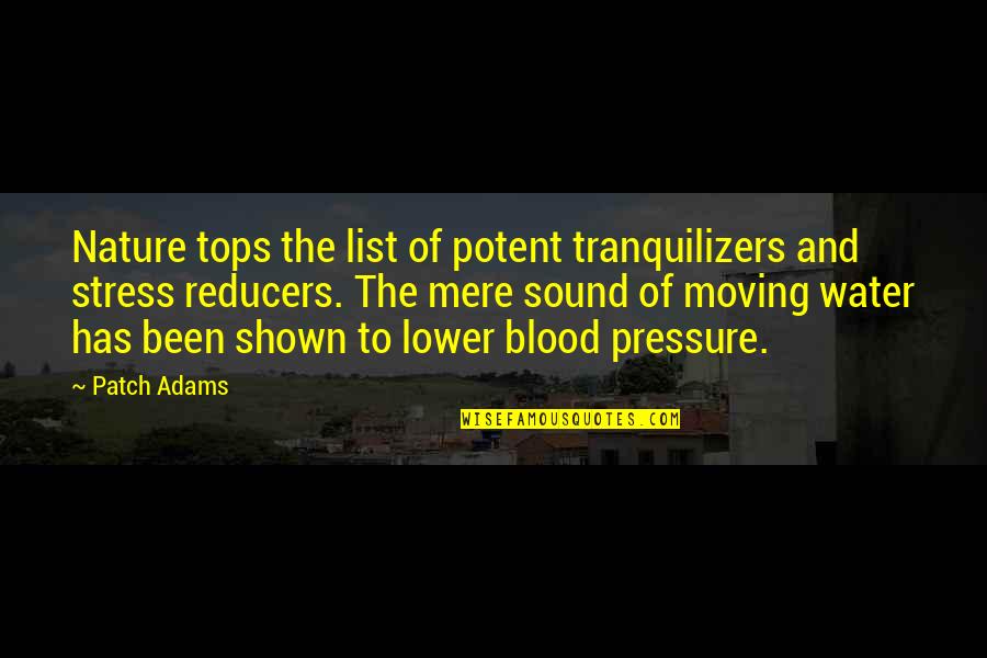 Tops'ls Quotes By Patch Adams: Nature tops the list of potent tranquilizers and