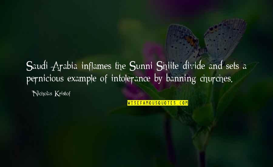 Topsoil For Sale Quotes By Nicholas Kristof: Saudi Arabia inflames the Sunni-Shiite divide and sets Topsoil For Sale Quotes By Nicholas Kristof: Saudi Arabia inflames the Sunni-Shiite divide and sets