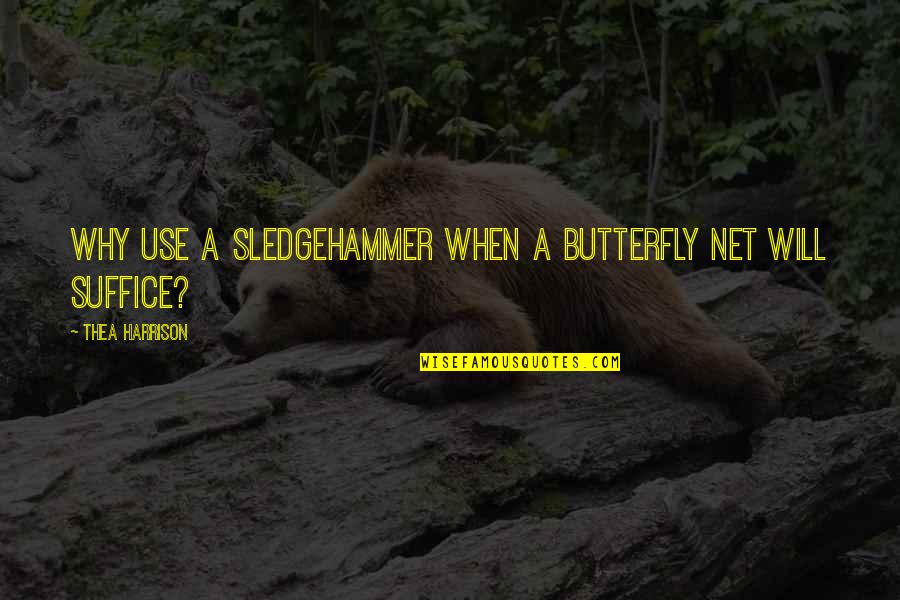 Toradora Minori Quotes By Thea Harrison: Why use a sledgehammer when a butterfly net Toradora Minori Quotes By Thea Harrison: Why use a sledgehammer when a butterfly net