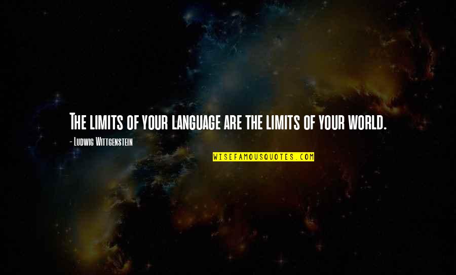 Toranaga San Quotes By Ludwig Wittgenstein: The limits of your language are the limits