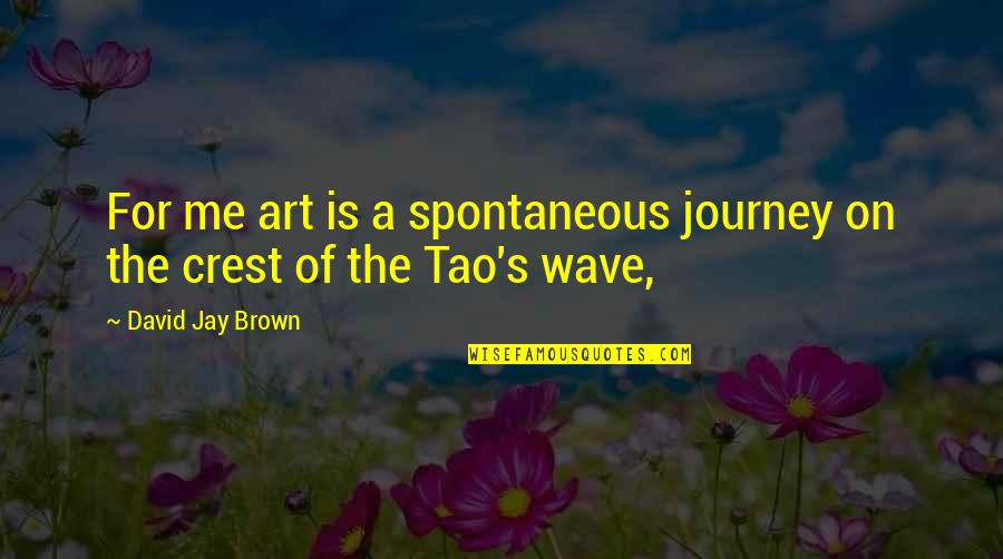 Torgersen Engineering Quotes By David Jay Brown: For me art is a spontaneous journey on