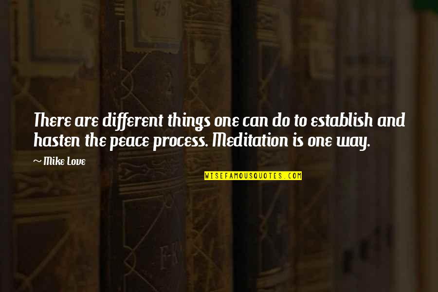 Toribianitos Quotes By Mike Love: There are different things one can do to