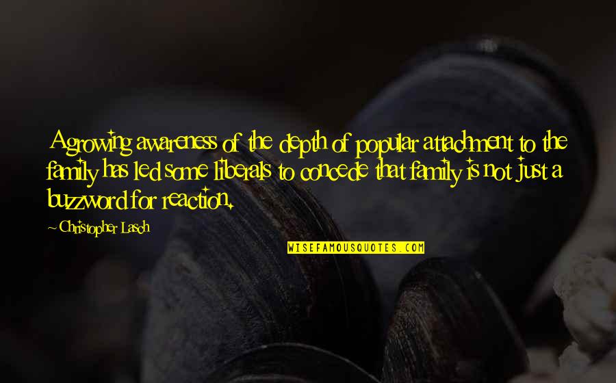 Torin's Quotes By Christopher Lasch: A growing awareness of the depth of popular