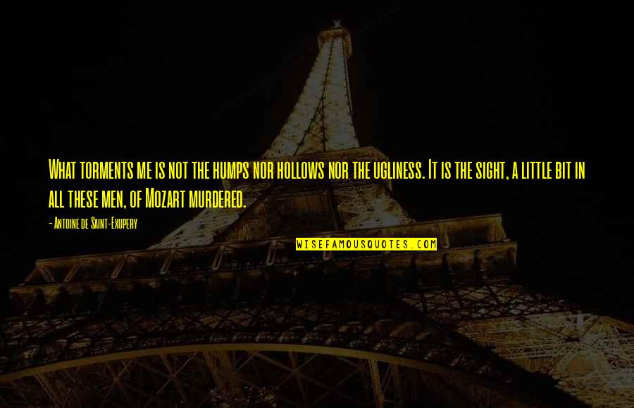 Torments Quotes By Antoine De Saint-Exupery: What torments me is not the humps nor