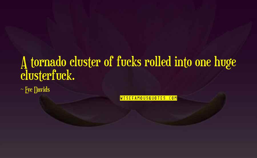 Tornado Quotes By Eve Davids: A tornado cluster of fucks rolled into one