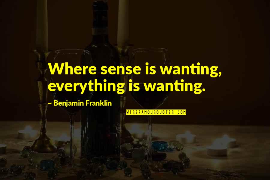 Tornadoesit's Quotes By Benjamin Franklin: Where sense is wanting, everything is wanting.