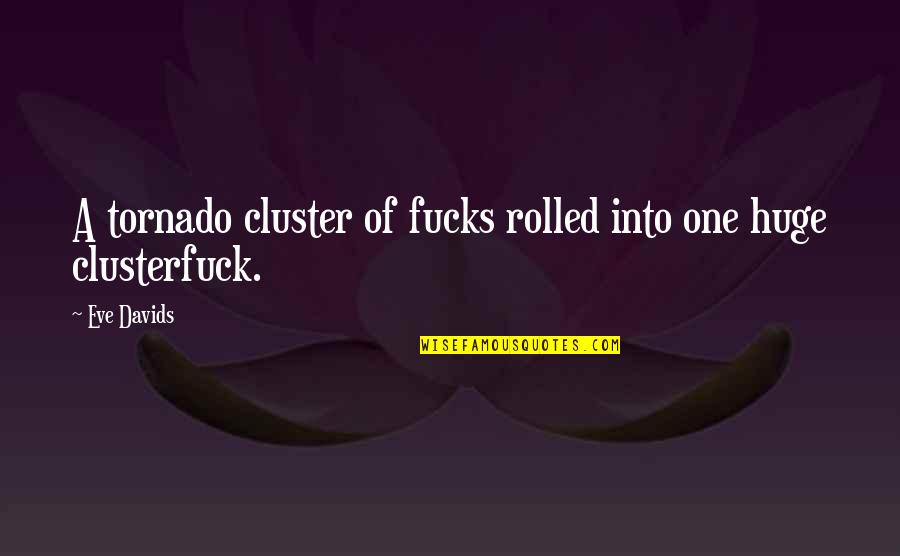 Tornado's Quotes By Eve Davids: A tornado cluster of fucks rolled into one