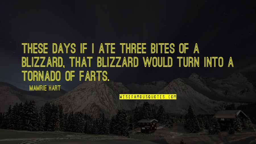 Tornado's Quotes By Mamrie Hart: These days if I ate three bites of