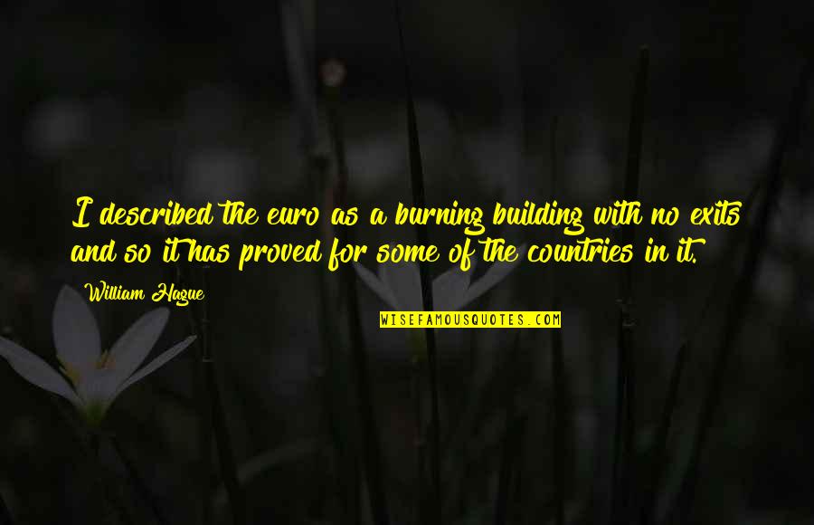 Tornante Mdp Quotes By William Hague: I described the euro as a burning building Tornante Mdp Quotes By William Hague: I described the euro as a burning building