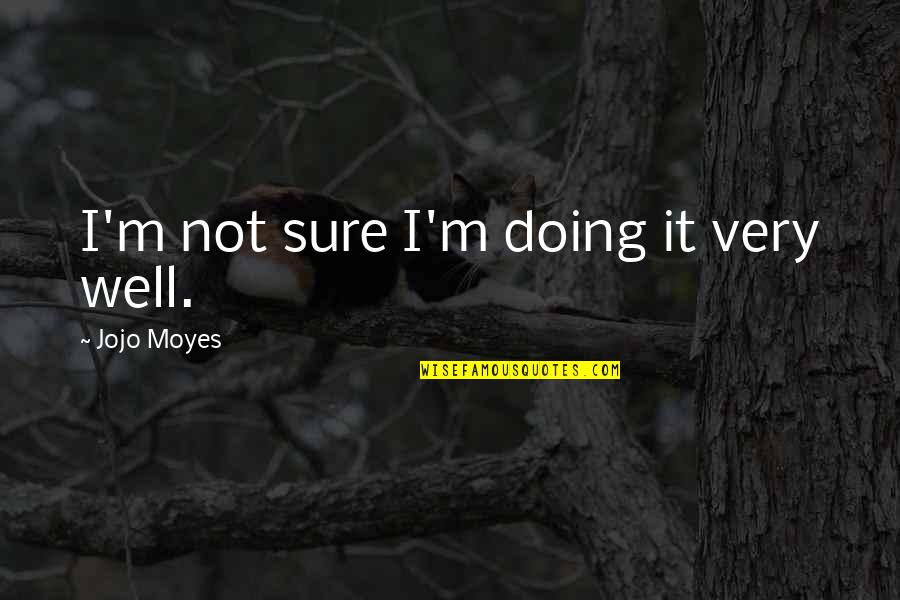 Torrellas Law Quotes By Jojo Moyes: I'm not sure I'm doing it very well. Torrellas Law Quotes By Jojo Moyes: I'm not sure I'm doing it very well.