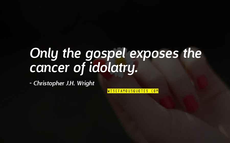 Torrentially Quotes By Christopher J.H. Wright: Only the gospel exposes the cancer of idolatry.