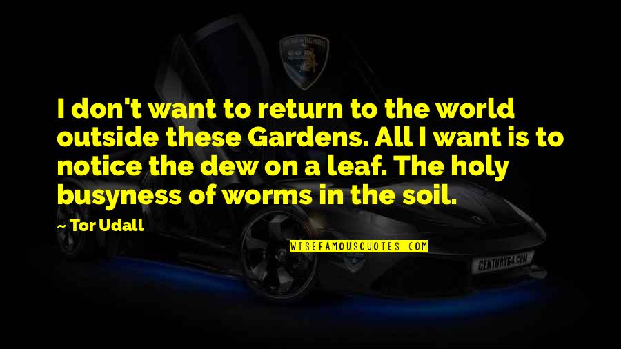 Tor's Quotes By Tor Udall: I don't want to return to the world Tor's Quotes By Tor Udall: I don't want to return to the world