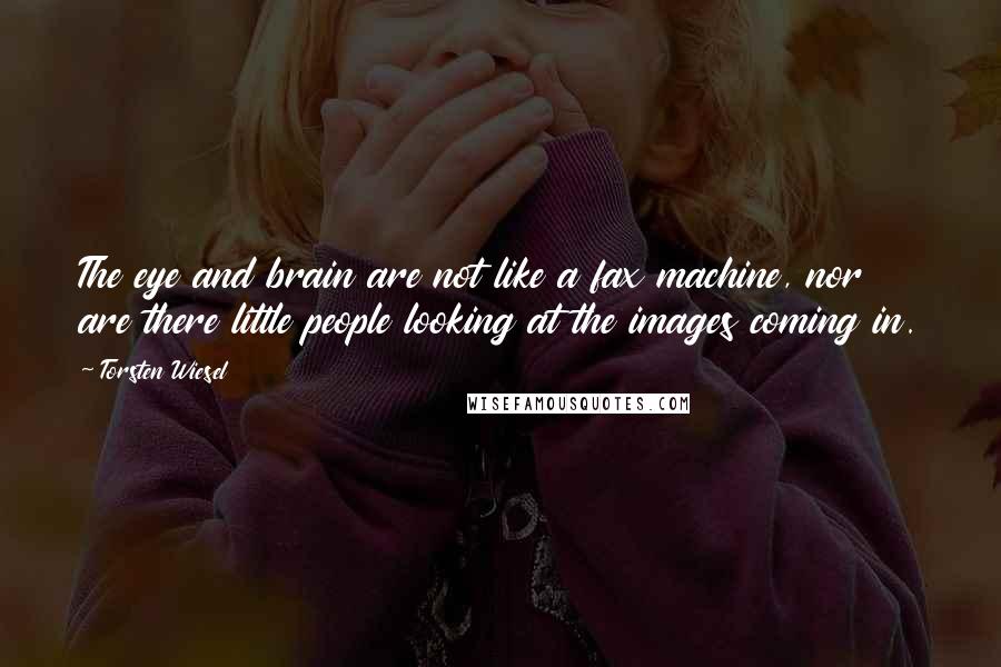 Torsten Wiesel quotes: The eye and brain are not like a fax machine, nor are there little people looking at the images coming in.