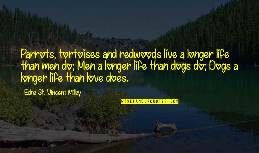 Tortoises Quotes By Edna St. Vincent Millay: Parrots, tortoises and redwoods live a longer life Tortoises Quotes By Edna St. Vincent Millay: Parrots, tortoises and redwoods live a longer life