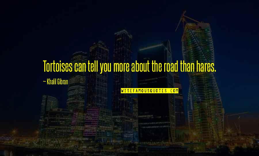 Tortoises Quotes By Khalil Gibran: Tortoises can tell you more about the road Tortoises Quotes By Khalil Gibran: Tortoises can tell you more about the road