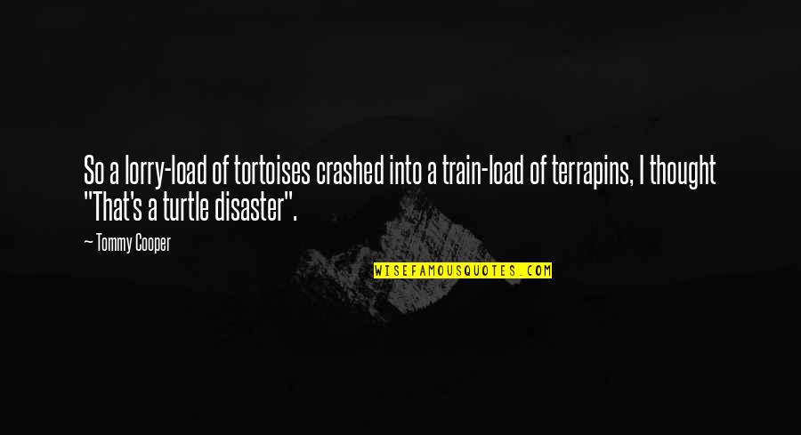 Tortoises Quotes By Tommy Cooper: So a lorry-load of tortoises crashed into a