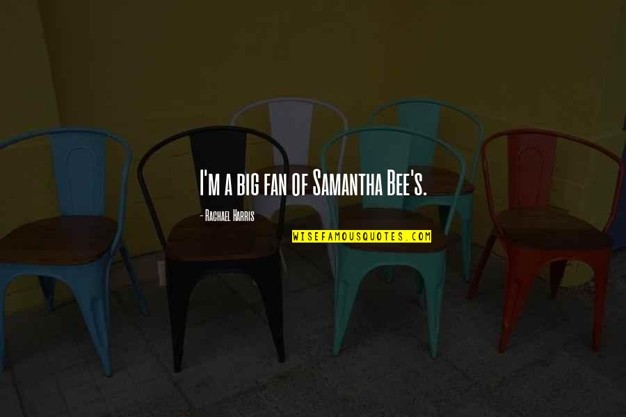Tortora Principles Quotes By Rachael Harris: I'm a big fan of Samantha Bee's.