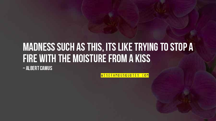 Tortoriello Ivf Quotes By Albert Camus: Madness such as this, its like trying to