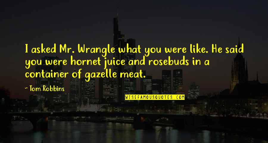 Torture Garden Quotes By Tom Robbins: I asked Mr. Wrangle what you were like.