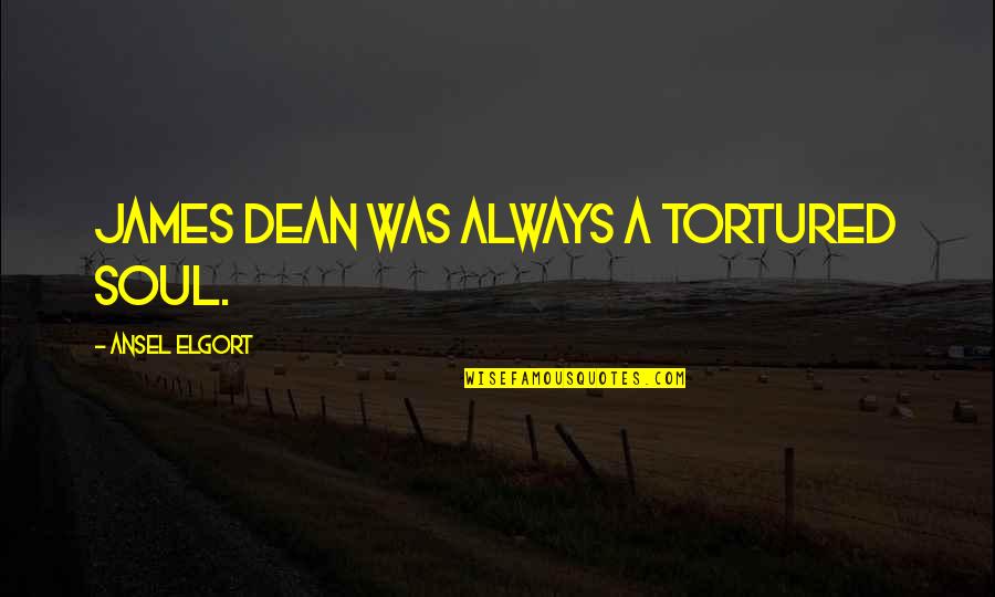 Tortured Quotes By Ansel Elgort: James Dean was always a tortured soul.