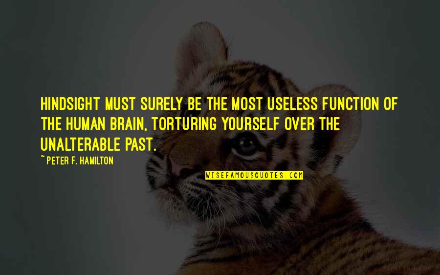 Torturing Yourself Quotes By Peter F. Hamilton: Hindsight must surely be the most useless function