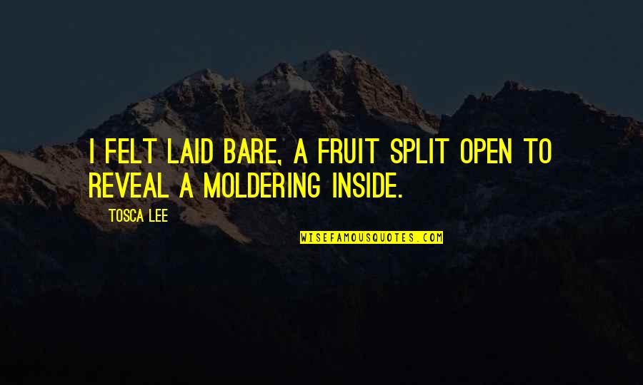 Tosca Quotes By Tosca Lee: I felt laid bare, a fruit split open
