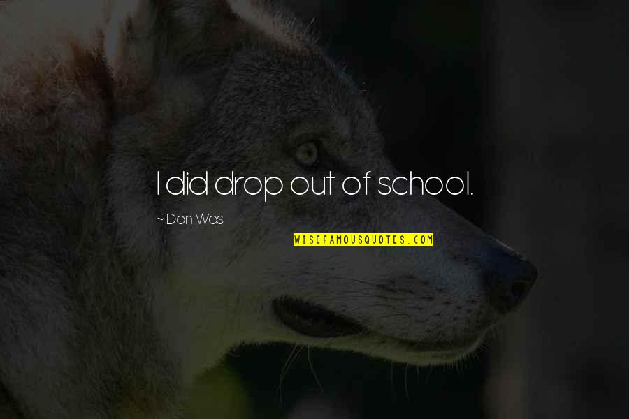 Tosche Star Quotes By Don Was: I did drop out of school. Tosche Star Quotes By Don Was: I did drop out of school.