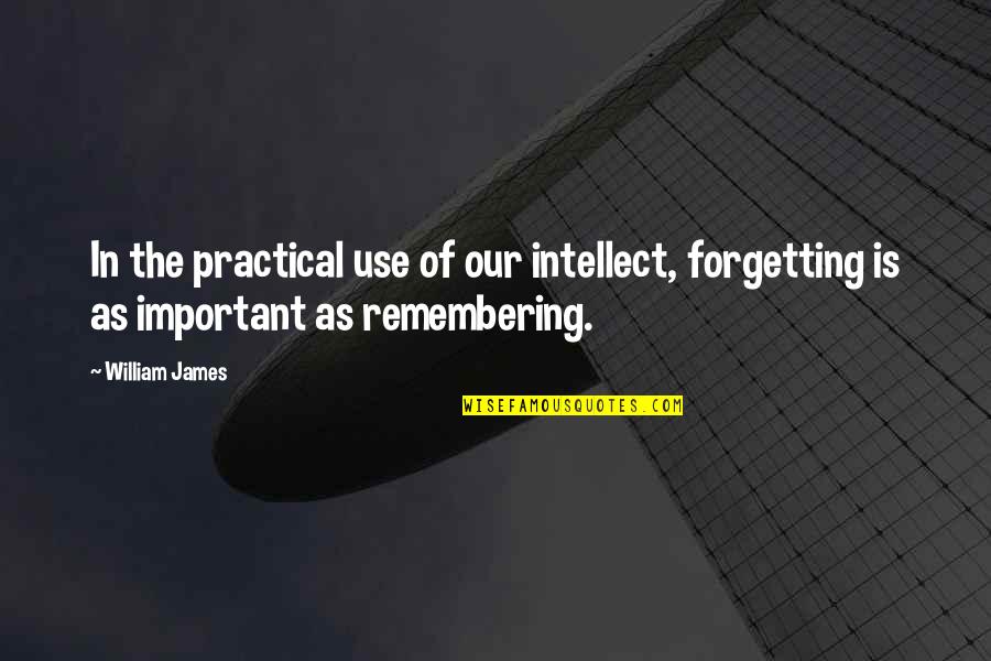 Toscos Pennsburg Quotes By William James: In the practical use of our intellect, forgetting