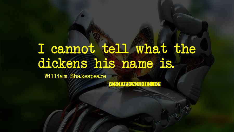 Toshniwal Enterprises Quotes By William Shakespeare: I cannot tell what the dickens his name
