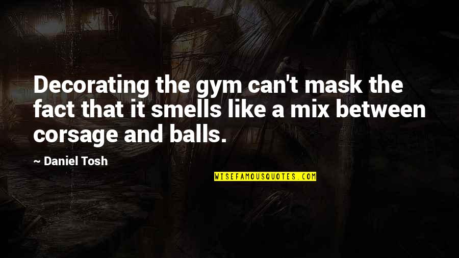 Tosh's Quotes By Daniel Tosh: Decorating the gym can't mask the fact that Tosh's Quotes By Daniel Tosh: Decorating the gym can't mask the fact that