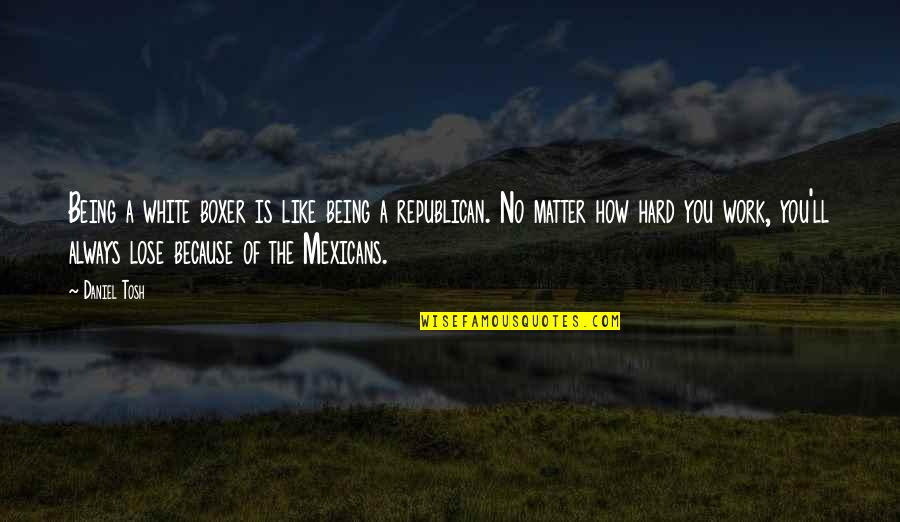Tosh's Quotes By Daniel Tosh: Being a white boxer is like being a Tosh's Quotes By Daniel Tosh: Being a white boxer is like being a