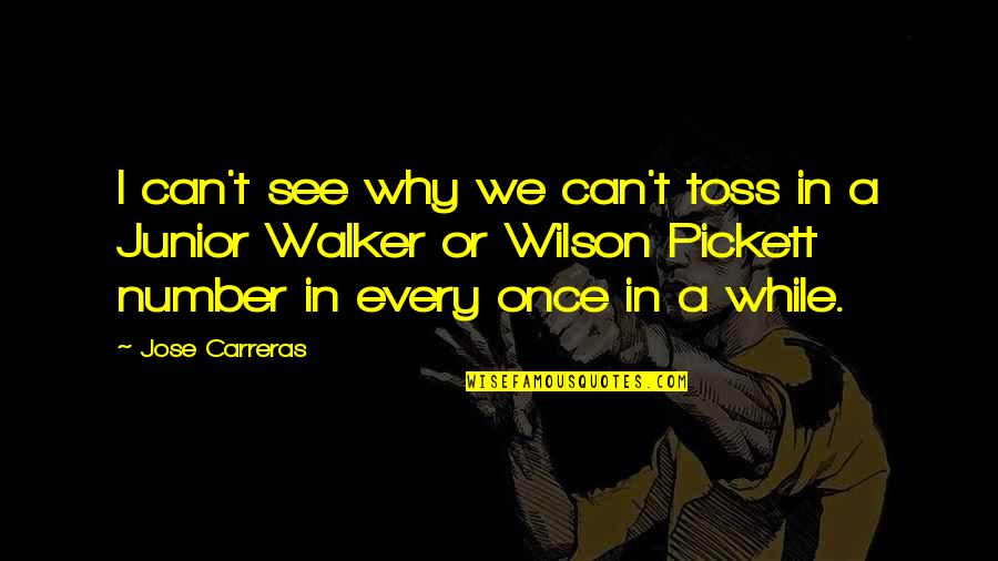 Toss'd Quotes By Jose Carreras: I can't see why we can't toss in