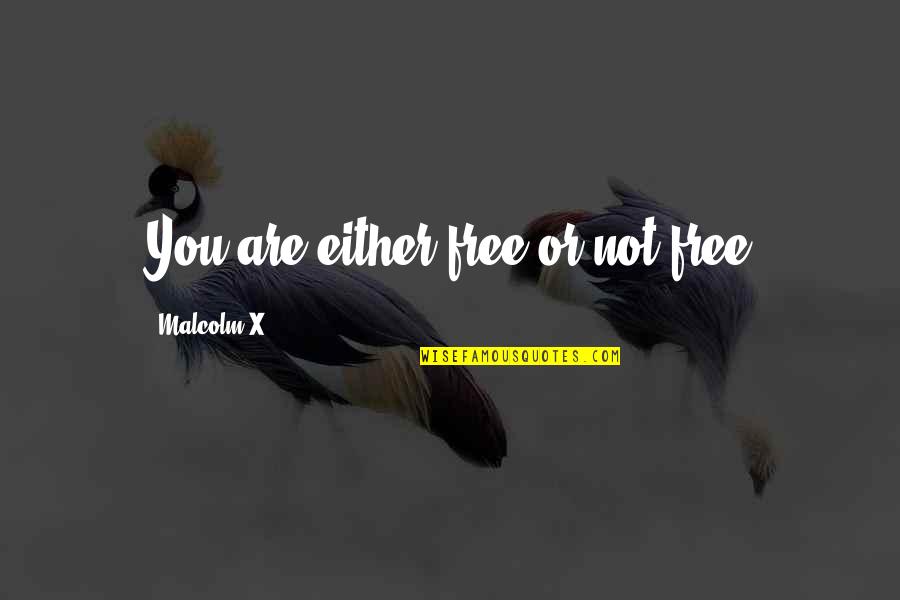 Totaltek Quotes By Malcolm X: You are either free or not free