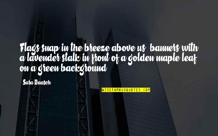 Totani C33 Quotes By Sara Raasch: Flags snap in the breeze above us, banners Totani C33 Quotes By Sara Raasch: Flags snap in the breeze above us, banners
