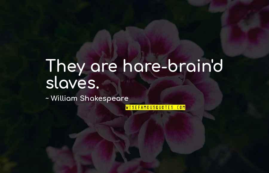 Totarewards Quotes By William Shakespeare: They are hare-brain'd slaves.
