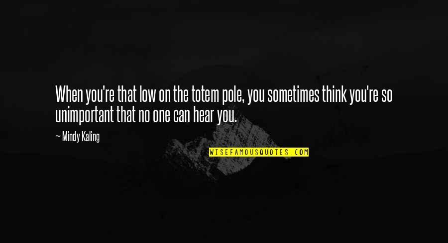 Totem Quotes By Mindy Kaling: When you're that low on the totem pole, Totem Quotes By Mindy Kaling: When you're that low on the totem pole,