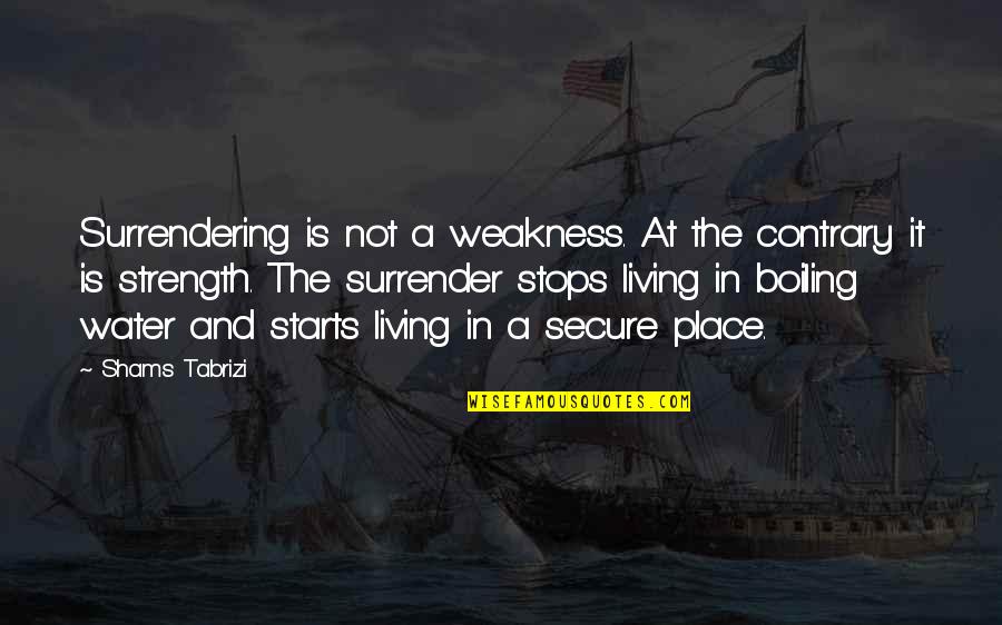 Toters Jeans Quotes By Shams Tabrizi: Surrendering is not a weakness. At the contrary