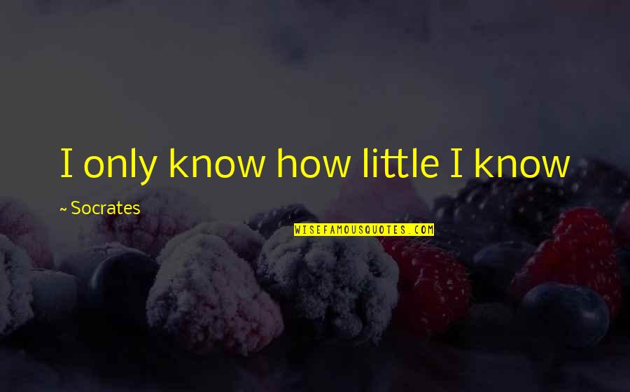 Tottenham Spurs Quotes By Socrates: I only know how little I know Tottenham Spurs Quotes By Socrates: I only know how little I know
