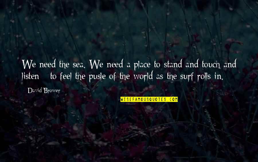 Touch The World Quotes By David Brower: We need the sea. We need a place