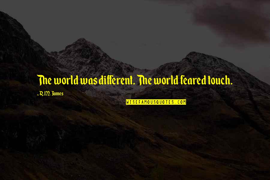 Touch The World Quotes By R.M. James: The world was different. The world feared touch.