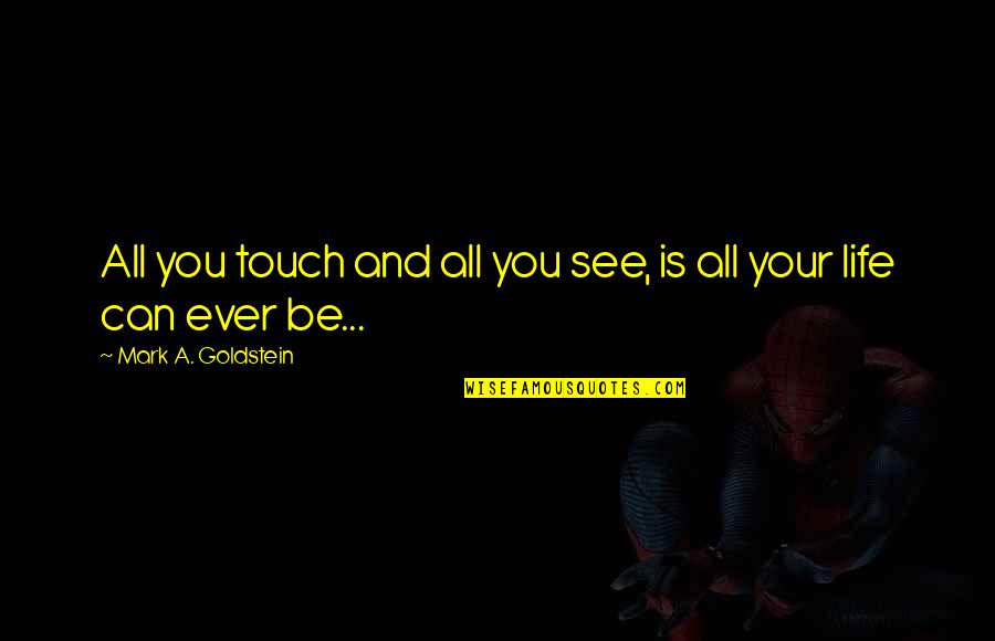 Touch Your Life Quotes By Mark A. Goldstein: All you touch and all you see, is